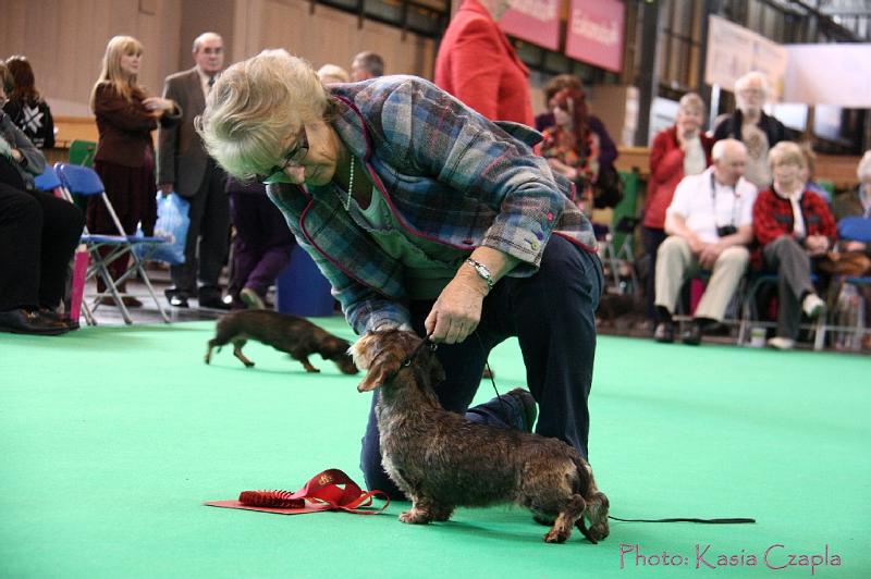 Crufts2011_2 1125.jpg